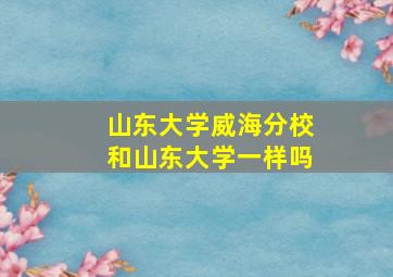 山东大学威海分校和山东大学一样吗