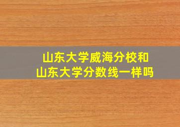 山东大学威海分校和山东大学分数线一样吗