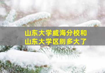 山东大学威海分校和山东大学区别多大了