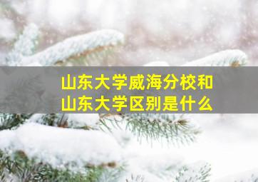 山东大学威海分校和山东大学区别是什么