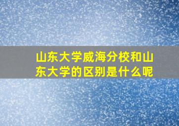 山东大学威海分校和山东大学的区别是什么呢