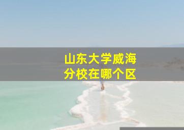 山东大学威海分校在哪个区