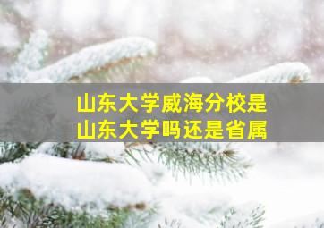 山东大学威海分校是山东大学吗还是省属