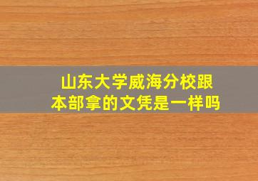 山东大学威海分校跟本部拿的文凭是一样吗