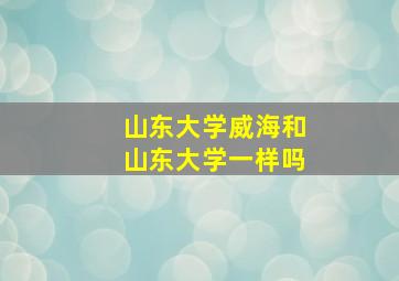 山东大学威海和山东大学一样吗