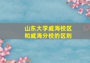 山东大学威海校区和威海分校的区别