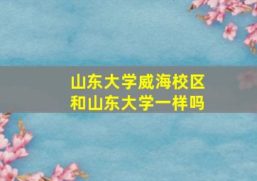 山东大学威海校区和山东大学一样吗