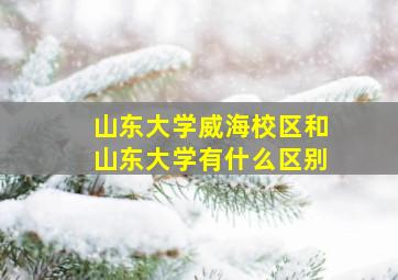 山东大学威海校区和山东大学有什么区别