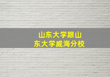 山东大学跟山东大学威海分校