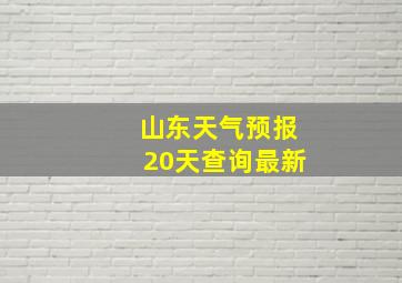 山东天气预报20天查询最新