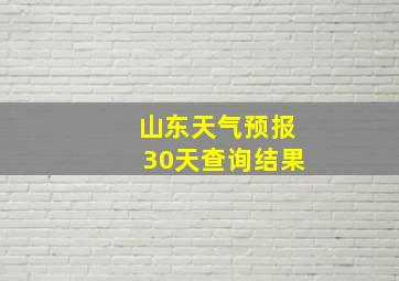 山东天气预报30天查询结果