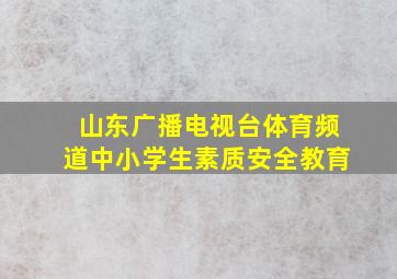 山东广播电视台体育频道中小学生素质安全教育