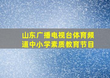 山东广播电视台体育频道中小学素质教育节目