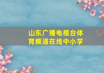 山东广播电视台体育频道在线中小学