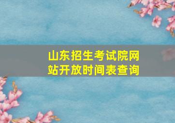 山东招生考试院网站开放时间表查询