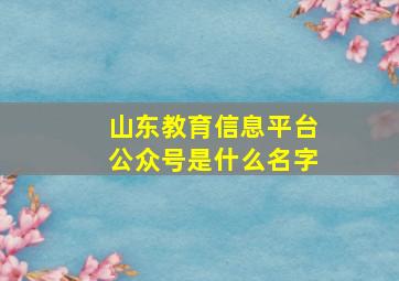 山东教育信息平台公众号是什么名字