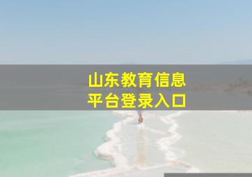 山东教育信息平台登录入口