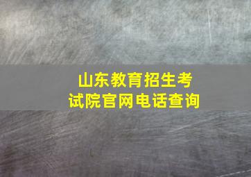 山东教育招生考试院官网电话查询