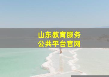 山东教育服务公共平台官网