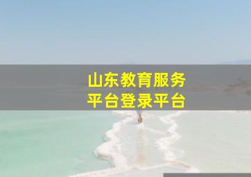 山东教育服务平台登录平台