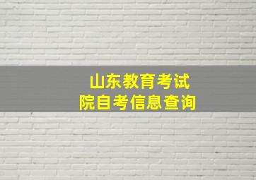 山东教育考试院自考信息查询