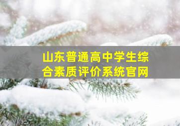 山东普通高中学生综合素质评价系统官网