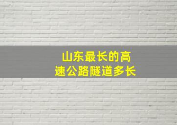 山东最长的高速公路隧道多长