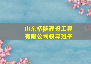 山东桥隧建设工程有限公司领导班子