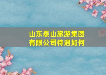 山东泰山旅游集团有限公司待遇如何