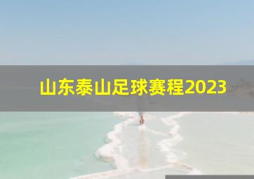 山东泰山足球赛程2023