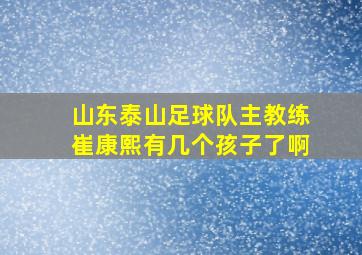 山东泰山足球队主教练崔康熙有几个孩子了啊