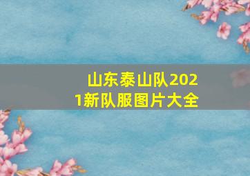 山东泰山队2021新队服图片大全