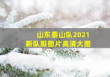 山东泰山队2021新队服图片高清大图