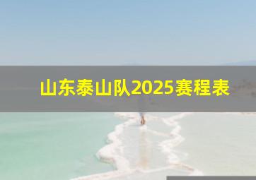 山东泰山队2025赛程表