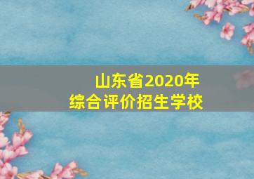 山东省2020年综合评价招生学校