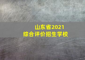 山东省2021综合评价招生学校