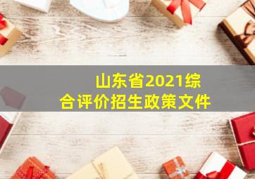 山东省2021综合评价招生政策文件