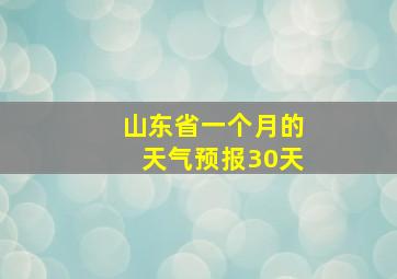 山东省一个月的天气预报30天