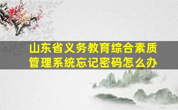 山东省义务教育综合素质管理系统忘记密码怎么办