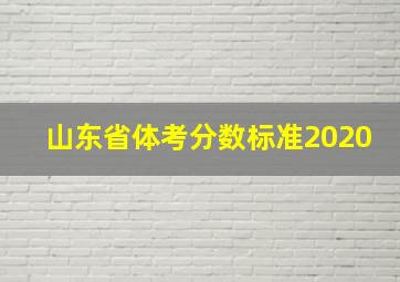 山东省体考分数标准2020