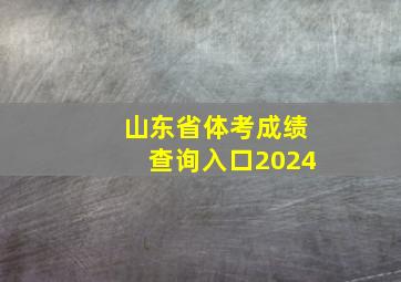 山东省体考成绩查询入口2024