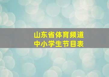 山东省体育频道中小学生节目表