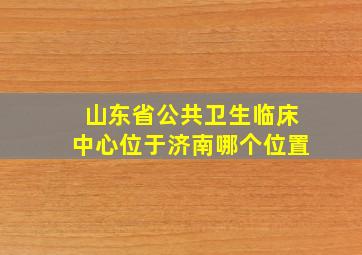 山东省公共卫生临床中心位于济南哪个位置