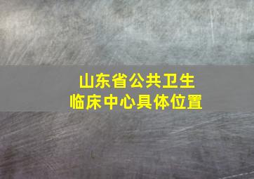 山东省公共卫生临床中心具体位置