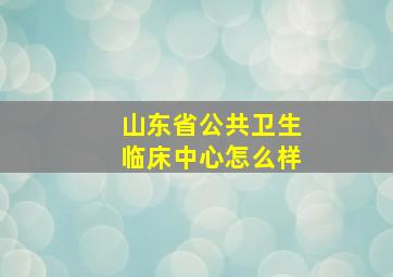 山东省公共卫生临床中心怎么样