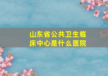 山东省公共卫生临床中心是什么医院