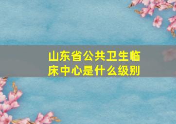 山东省公共卫生临床中心是什么级别