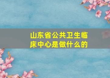 山东省公共卫生临床中心是做什么的