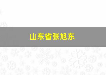 山东省张旭东