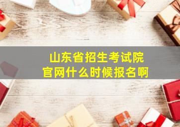 山东省招生考试院官网什么时候报名啊